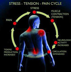Motion - Pain Cycle
